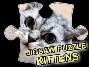 Feline Photo Puzzle Challenge