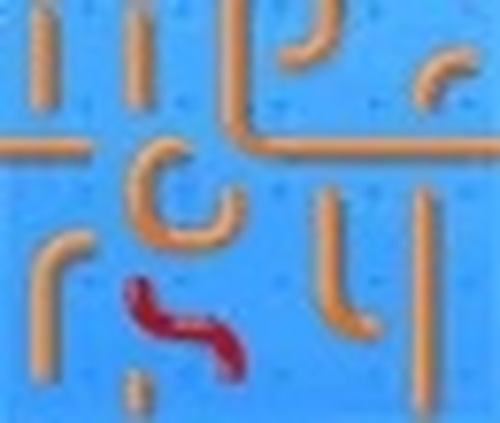 Connexions Puzzle Game