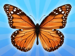 Butterfly Merge Puzzle
