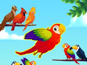 Flappy Color Birds Online Game